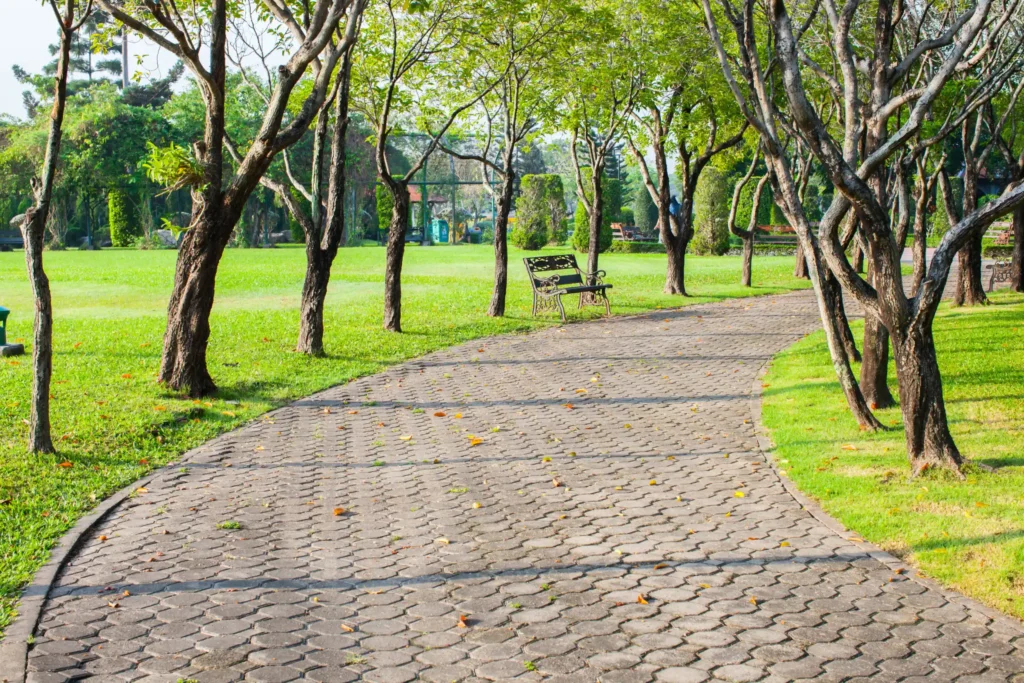 schenectady Concrete Paths and Sidewalks